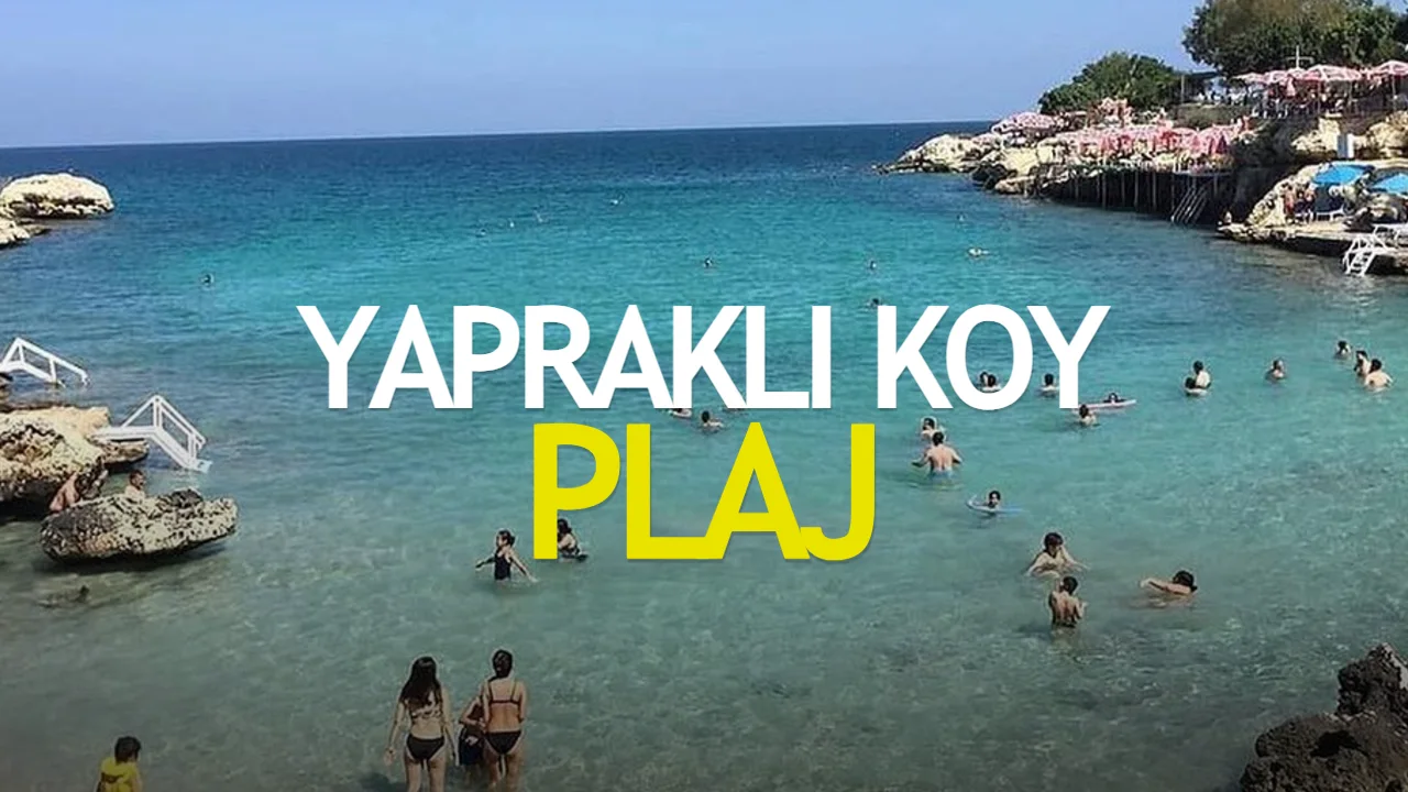 Yapraklı Koy Plajı